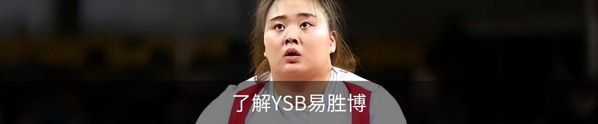 了解YSB易胜博
